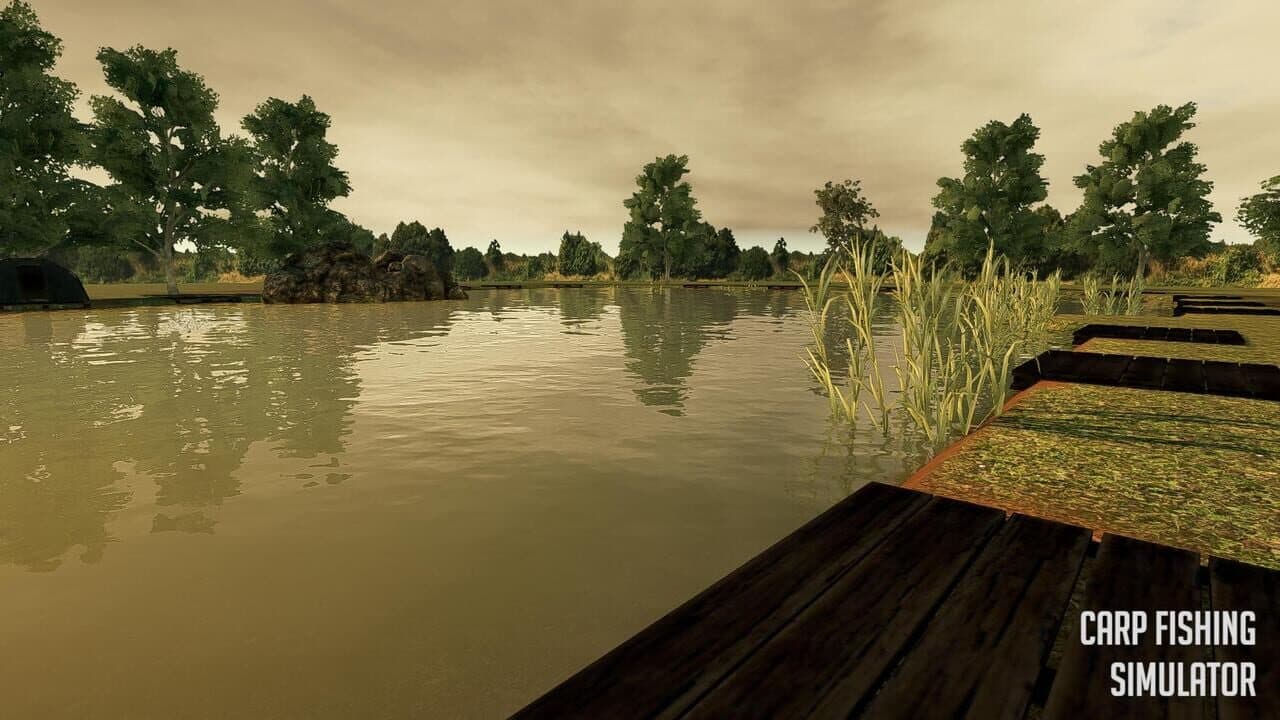 Carp Fishing Simulator thumbnail 5
