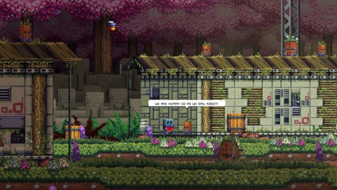 Poncho thumbnail 6