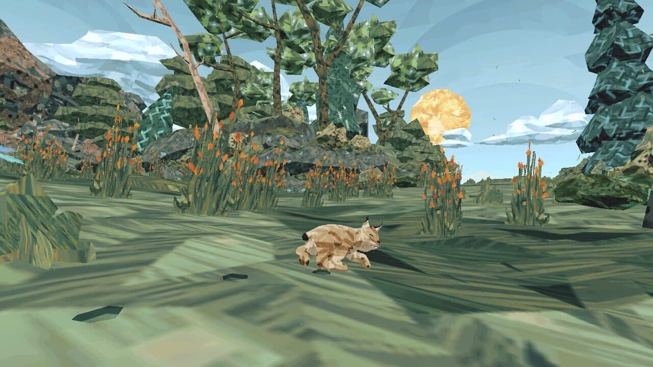 Shelter Generations thumbnail 6