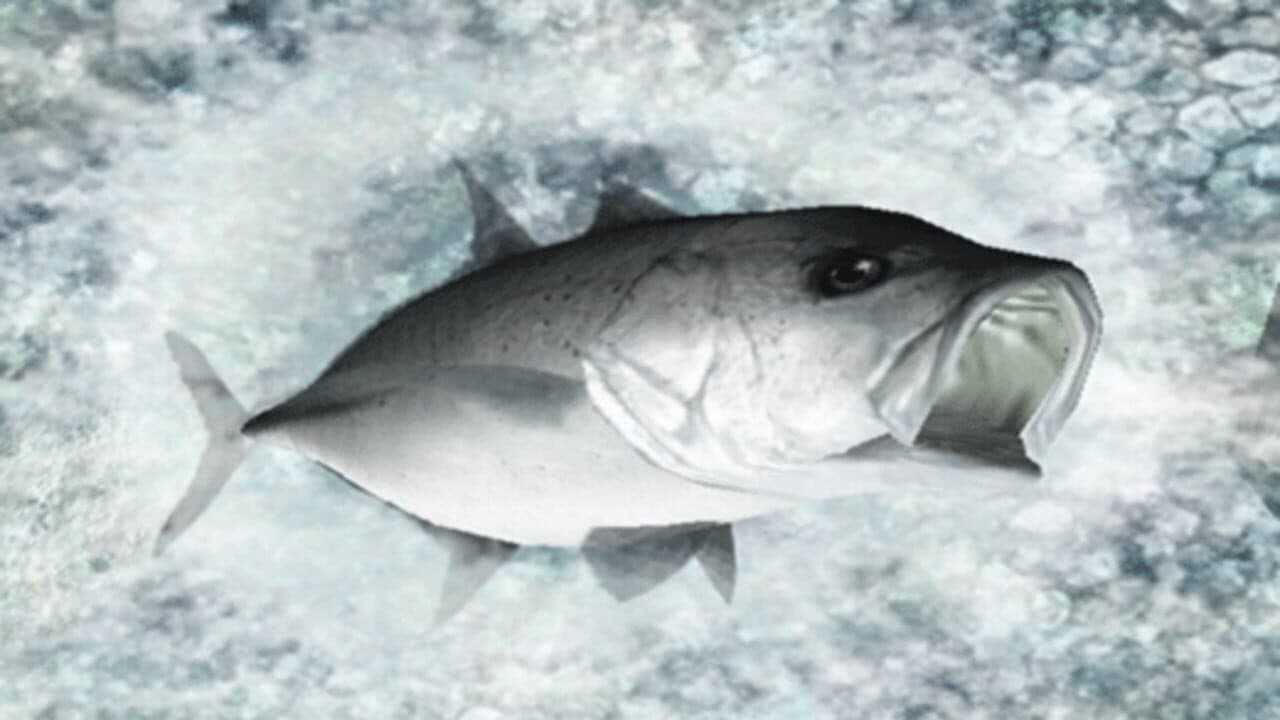 Reel Fishing: Ocean Challenge thumbnail 2