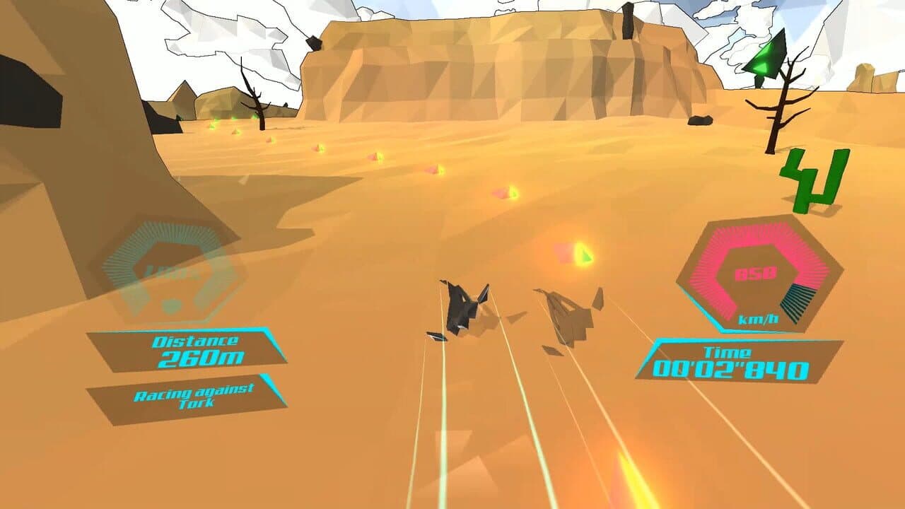 PolyRace screenshot 1