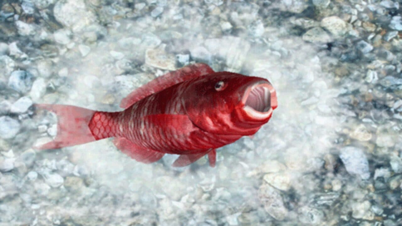 Reel Fishing: Ocean Challenge thumbnail 3