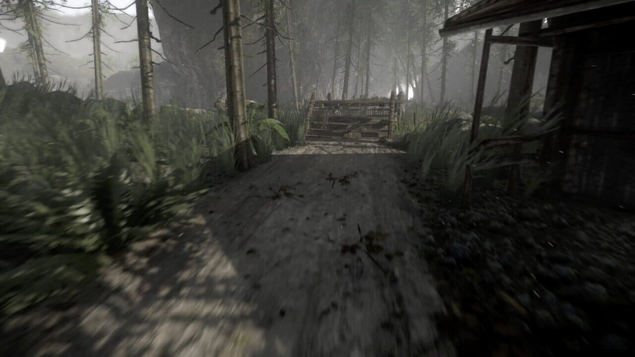 Reflecting Fate thumbnail 2