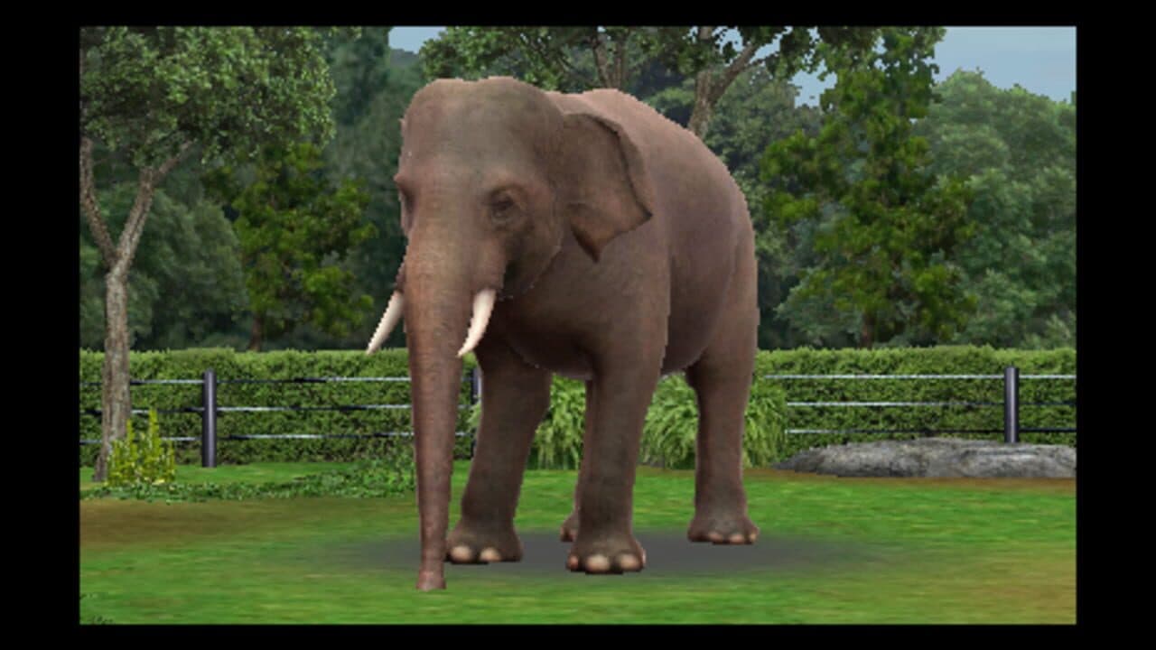 Zoo Resort 3D thumbnail 2