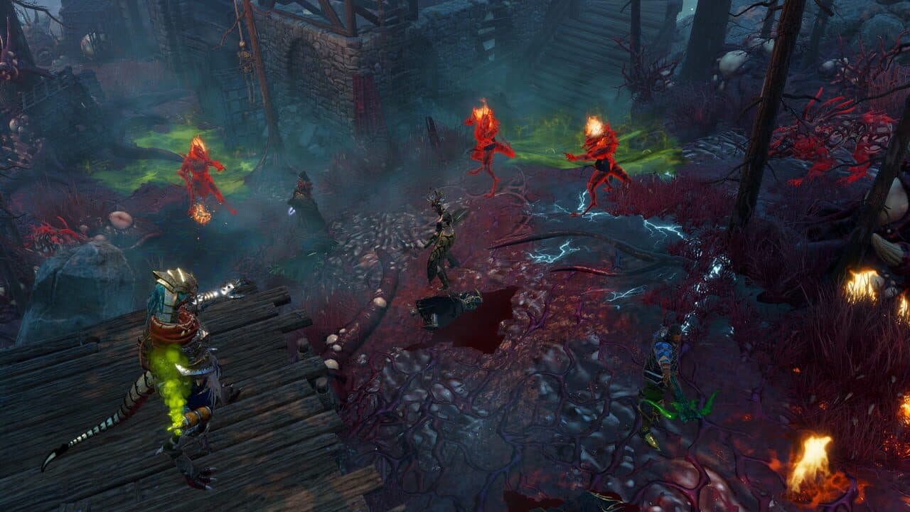 Divinity: Original Sin II - Definitive Edition thumbnail 2