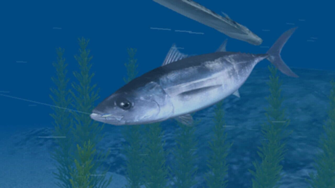 Reel Fishing: Ocean Challenge screenshot 1