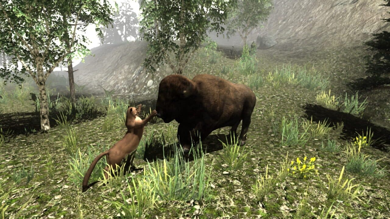 Untamed: Life of a Cougar thumbnail 4