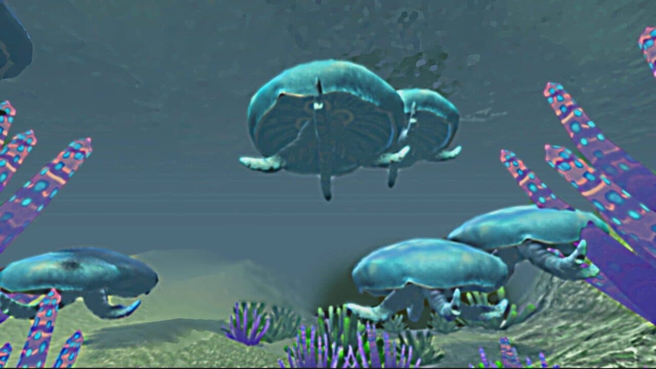 Zen Fish SIM thumbnail 4