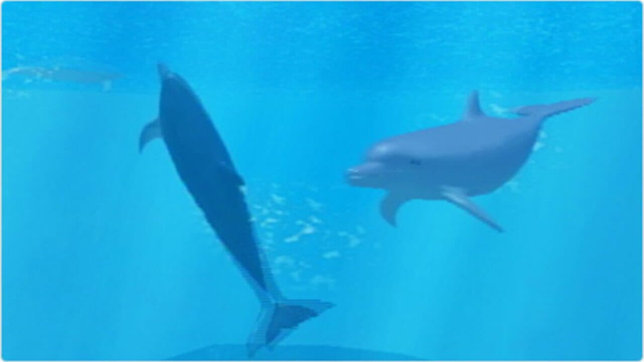 My Dolphin thumbnail 3