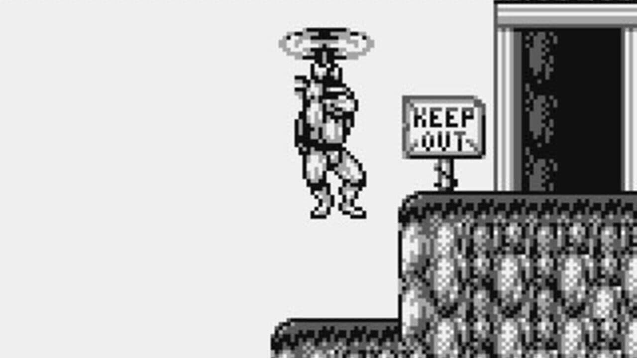 Teenage Mutant Ninja Turtles III: Radical Rescue thumbnail 8