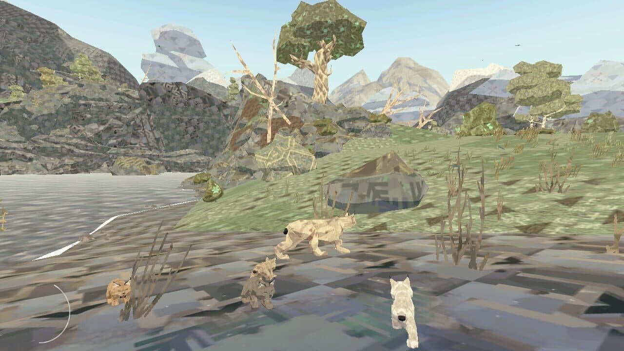 Shelter Generations thumbnail 5