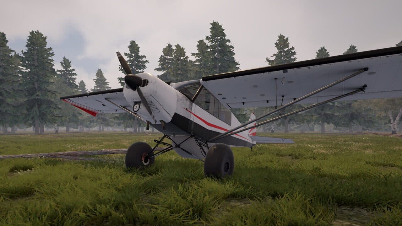 Deadstick: Bush Flight Simulator thumbnail 7