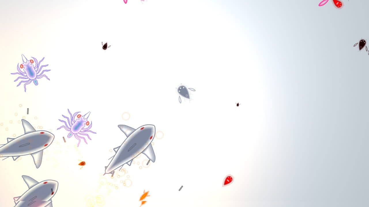 Feesh thumbnail 5
