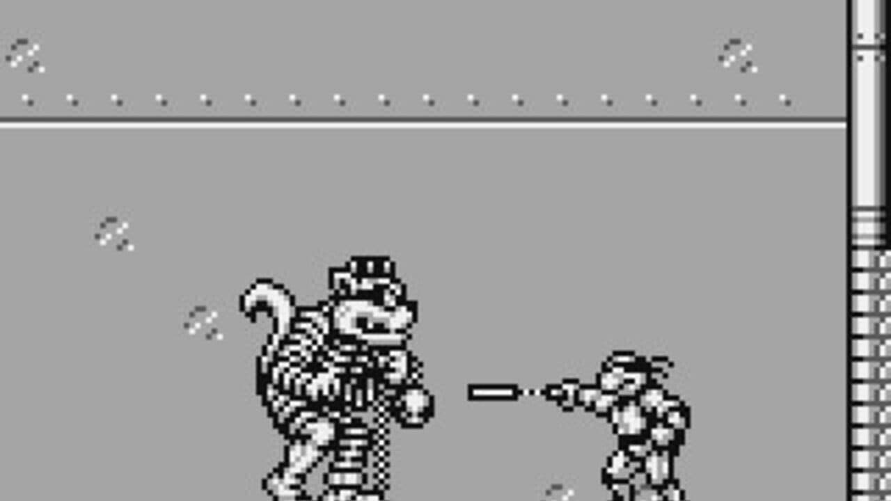 Teenage Mutant Ninja Turtles III: Radical Rescue thumbnail 7
