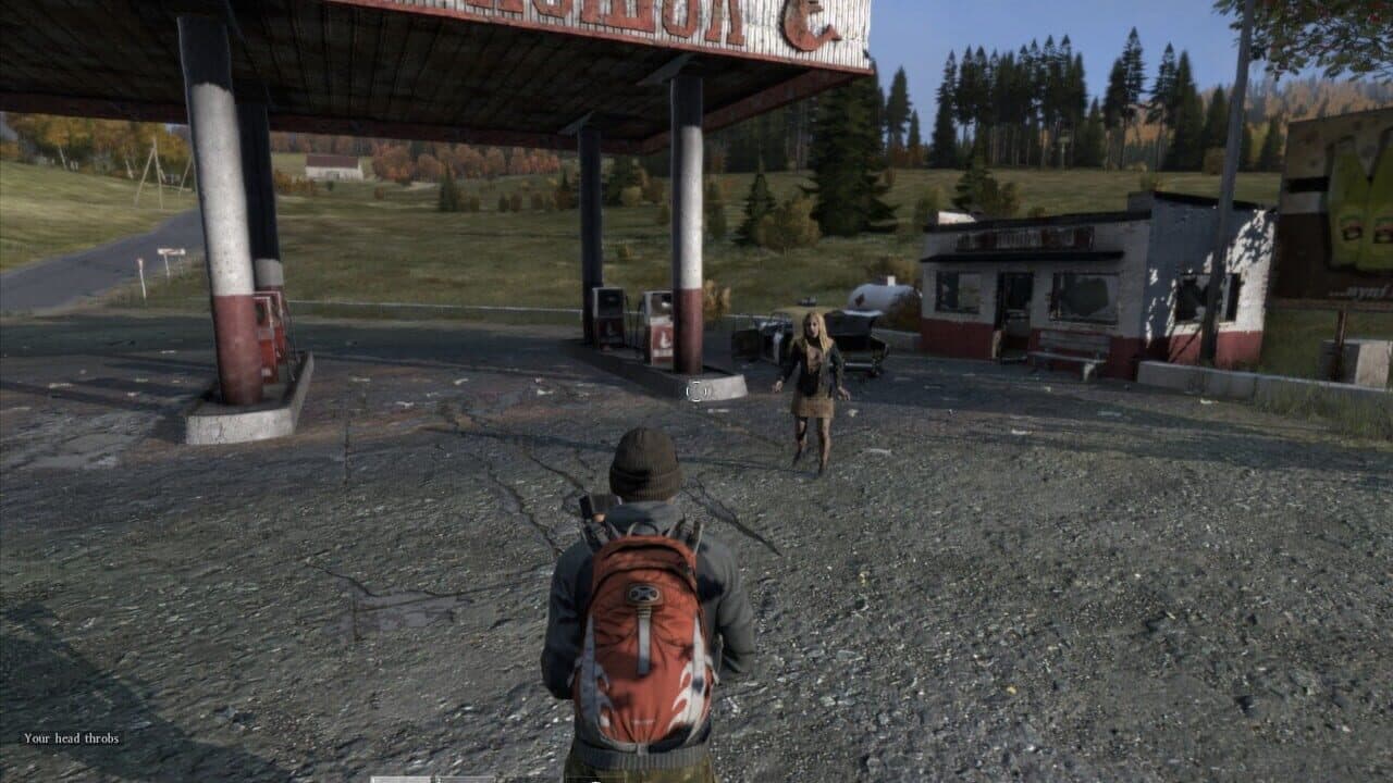 DayZ thumbnail 4