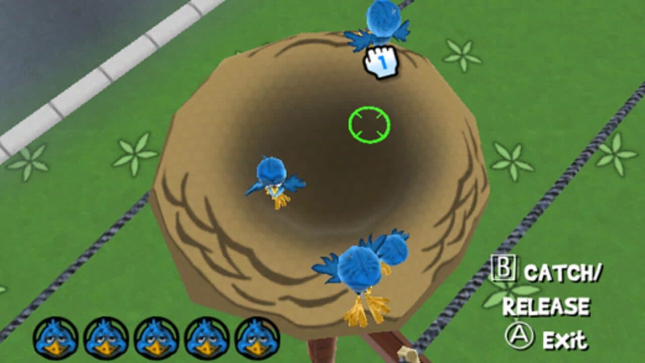 Play with Birds thumbnail 7