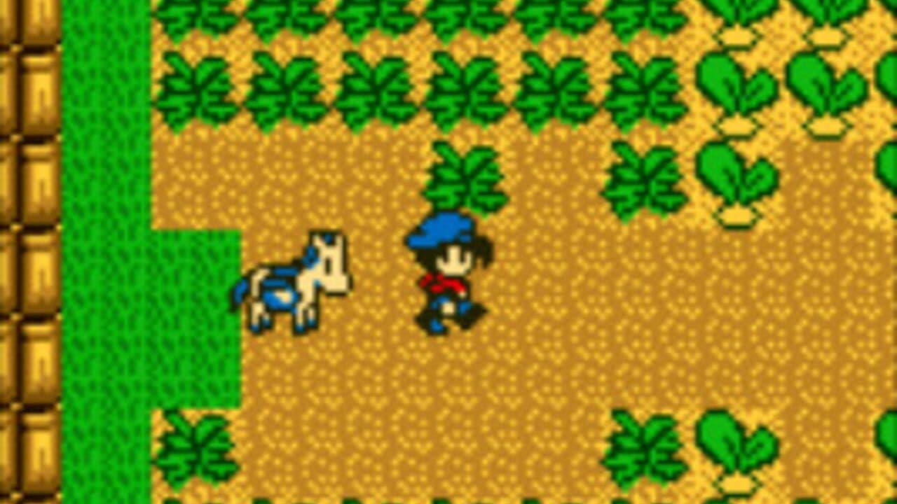 Harvest Moon GB thumbnail 5
