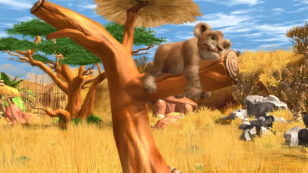 Wildlife Camp thumbnail 4