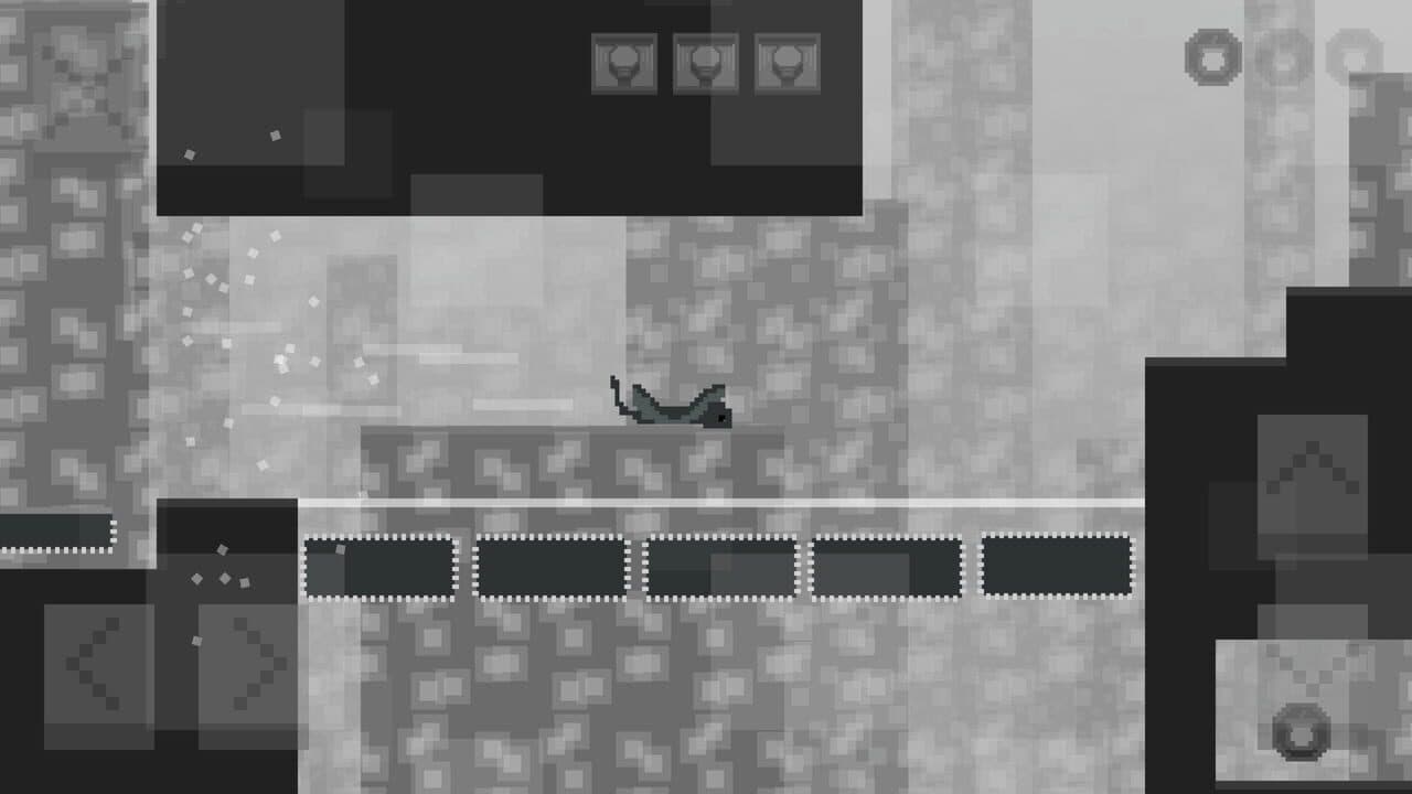 Planet Squirrel thumbnail 2