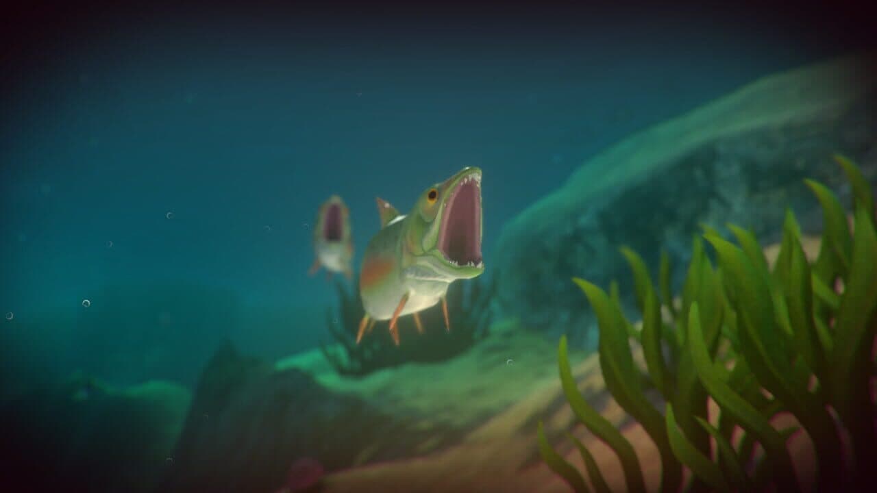 Feed and Grow: Fish thumbnail 4