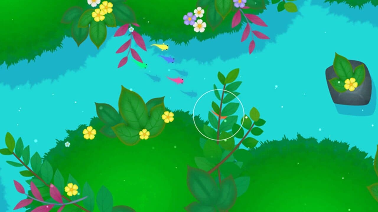 Koi DX thumbnail 8