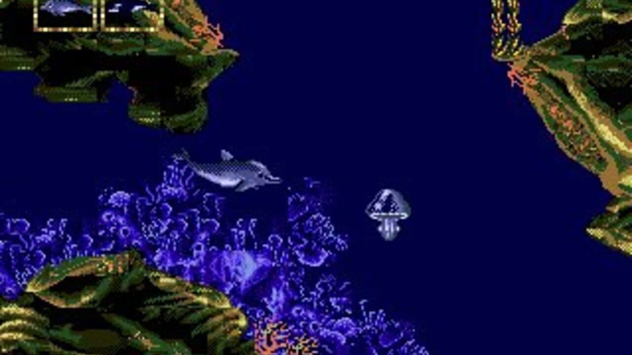 Ecco Jr. thumbnail 9