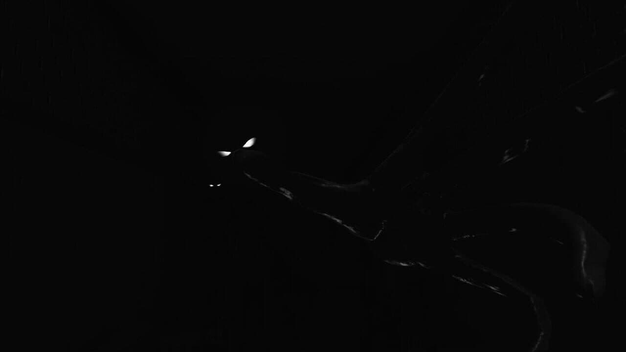 Wilson's Heart thumbnail 5