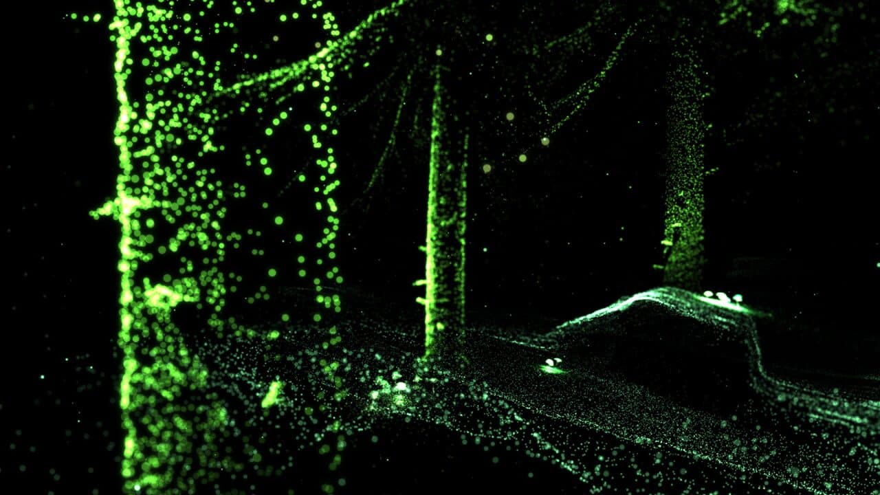 A Light In Chorus thumbnail 3