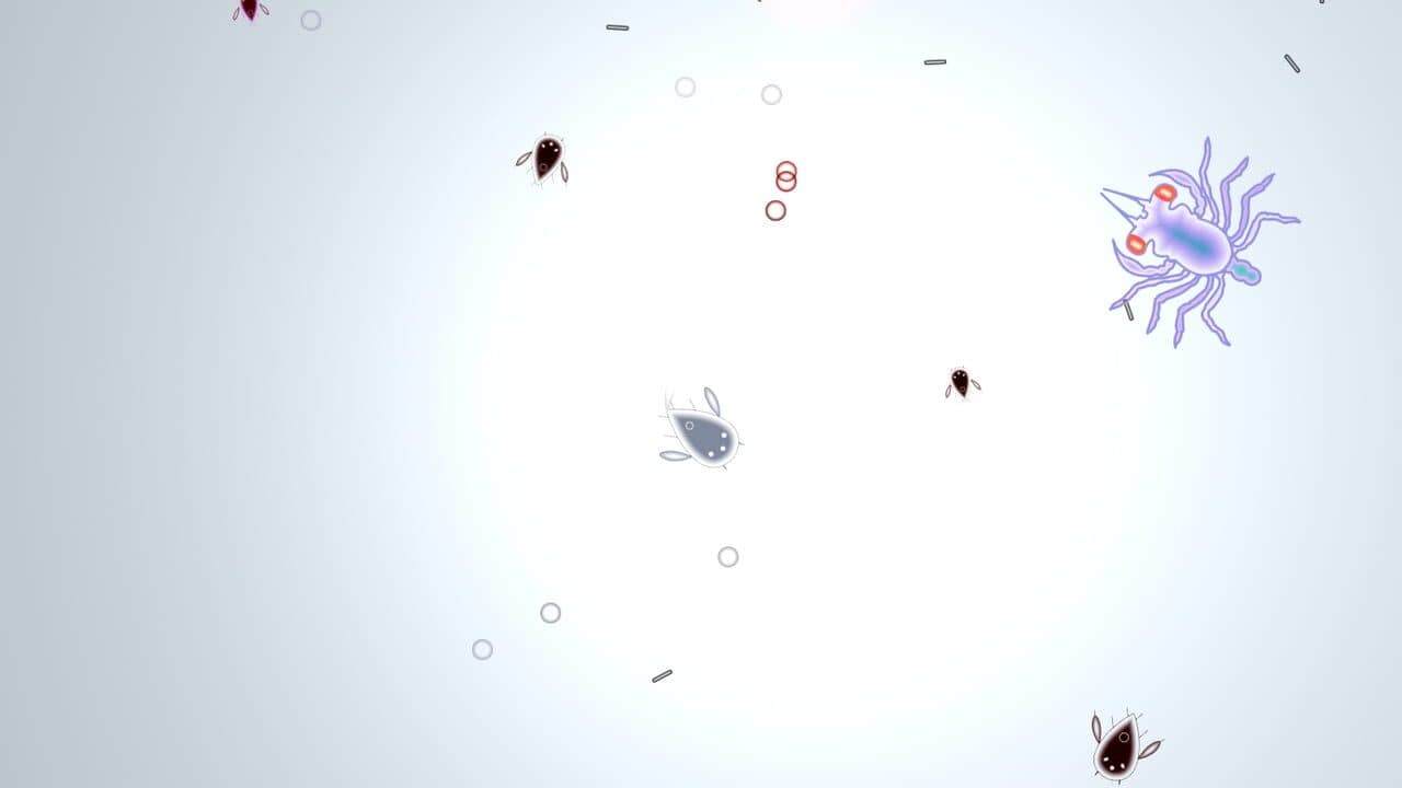Feesh screenshot 1