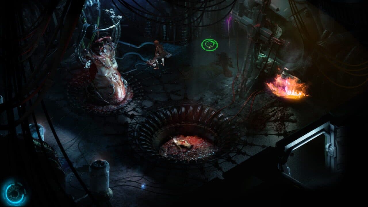 Cayne thumbnail 2