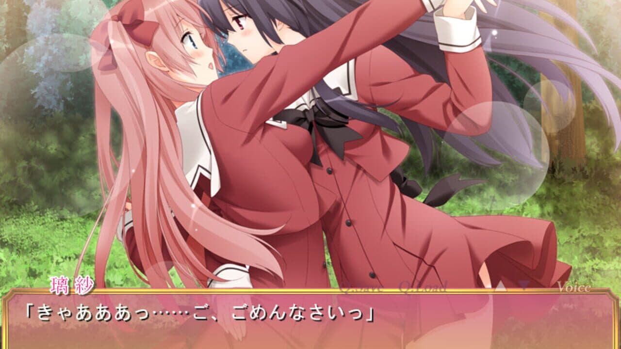 Sono Hanabira ni Kuchizuke wo: Michael no Otome-tachi thumbnail 2
