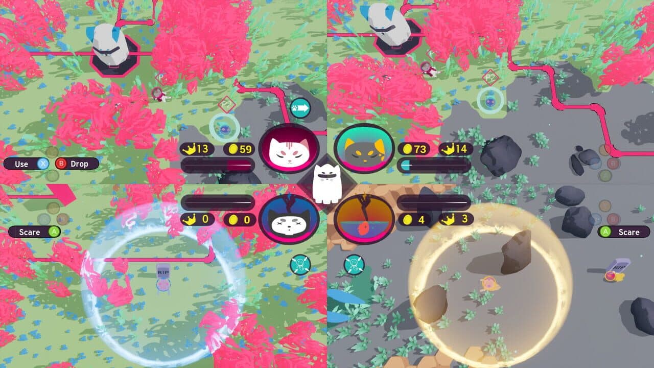 Starcats thumbnail 7