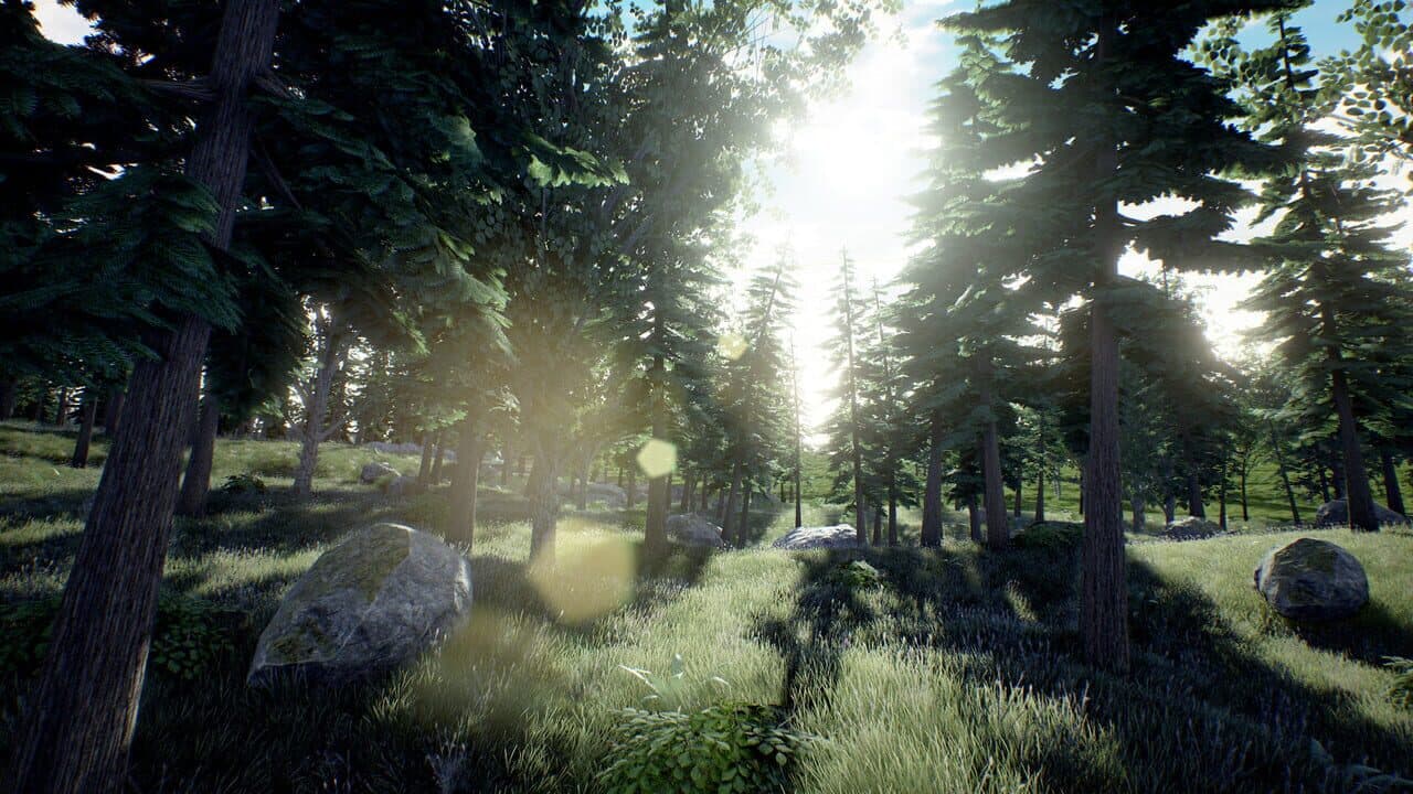 The Lost Island thumbnail 5