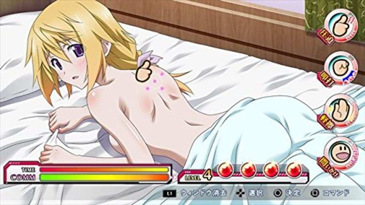 Infinite Stratos 2: Love and Purge thumbnail 2