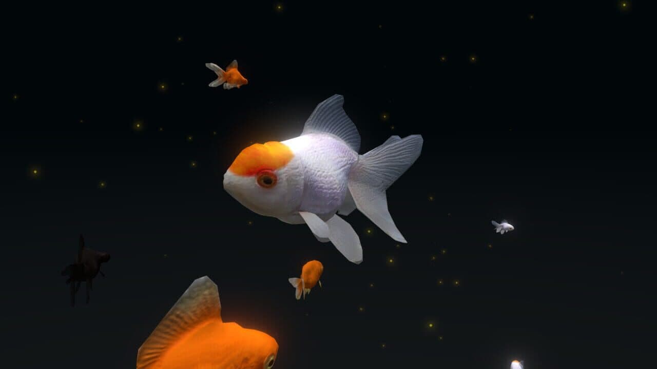 VR Aquarium Miyabi screenshot 1