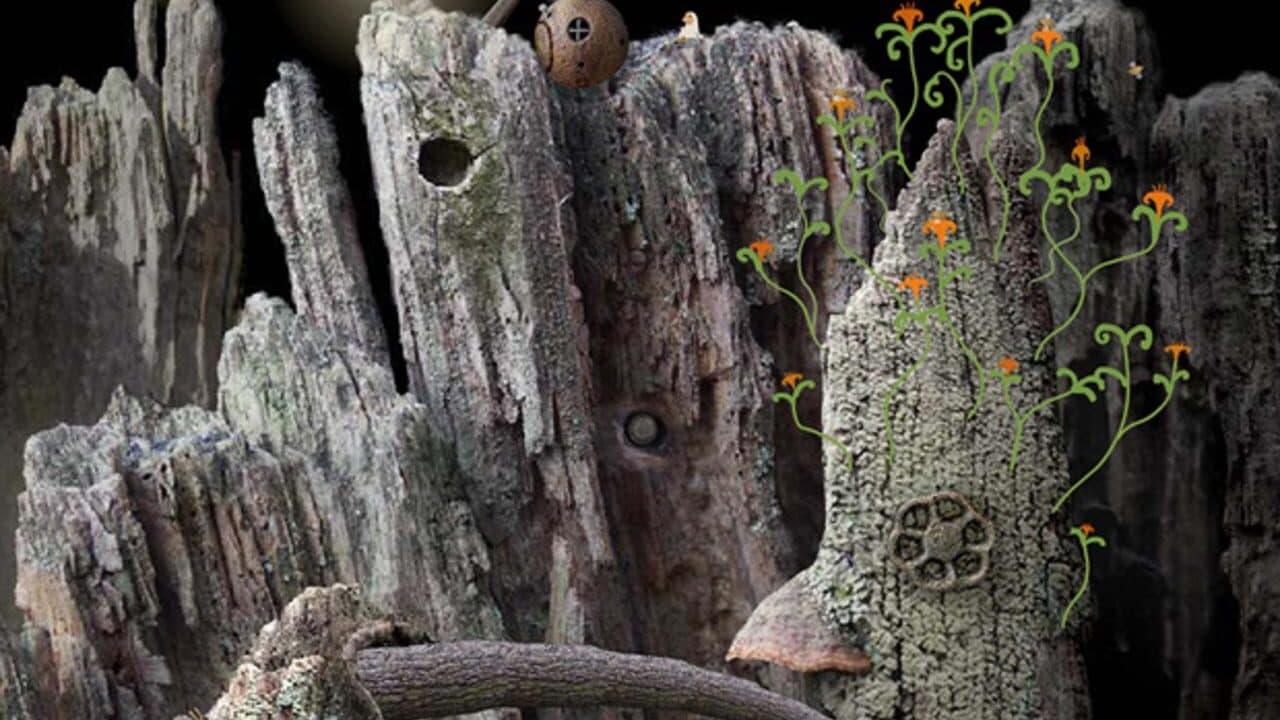 Samorost thumbnail 2