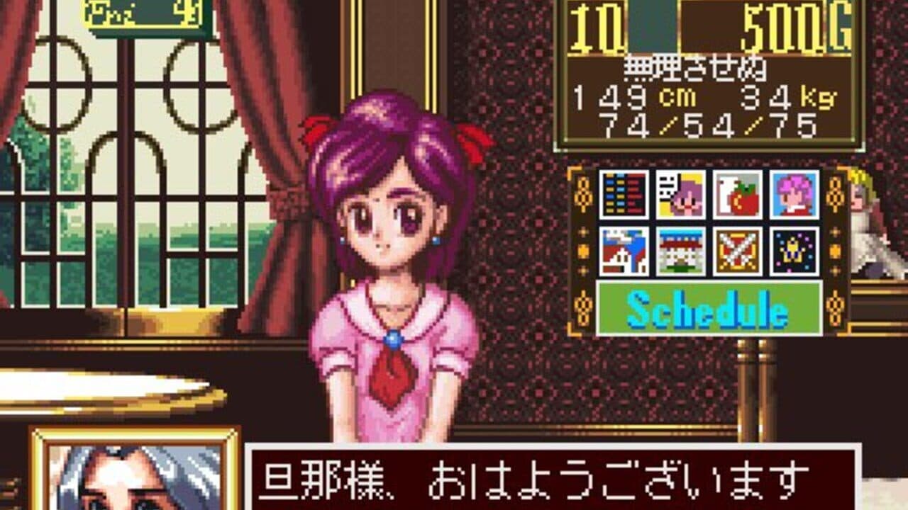 Princess Maker: Legend of Another World thumbnail 7