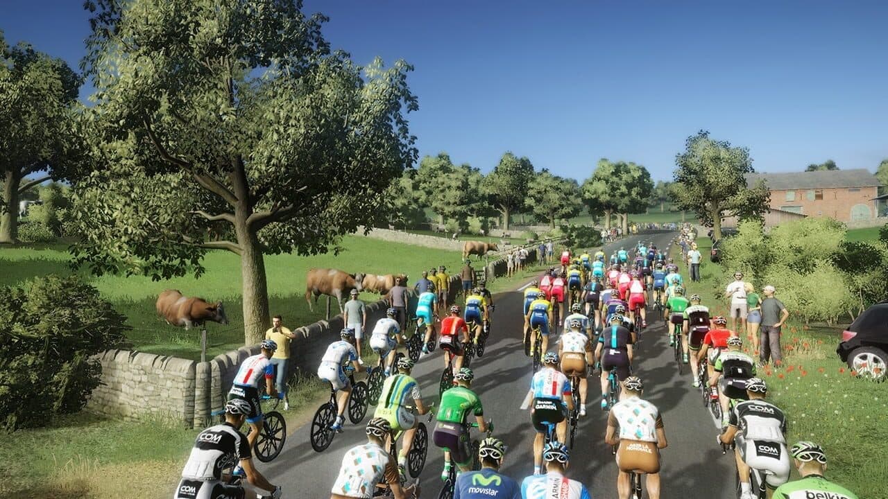 Tour de France 2014 thumbnail 6