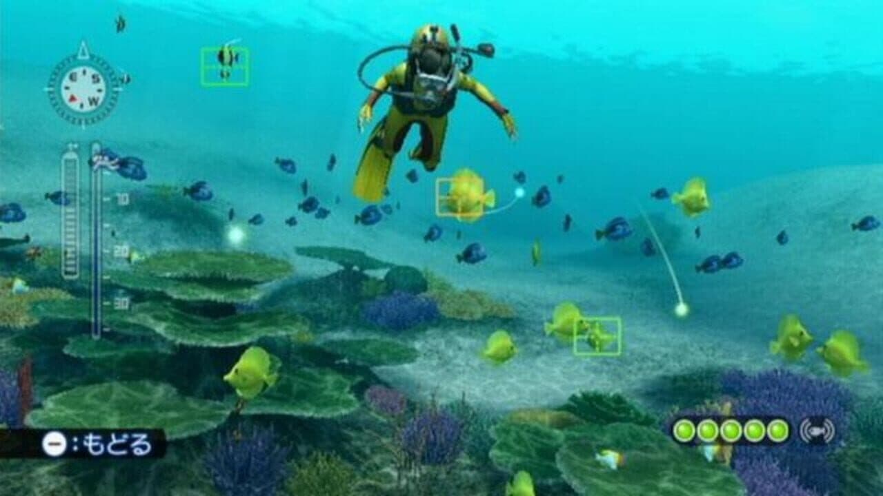 Endless Ocean: Blue World thumbnail 2