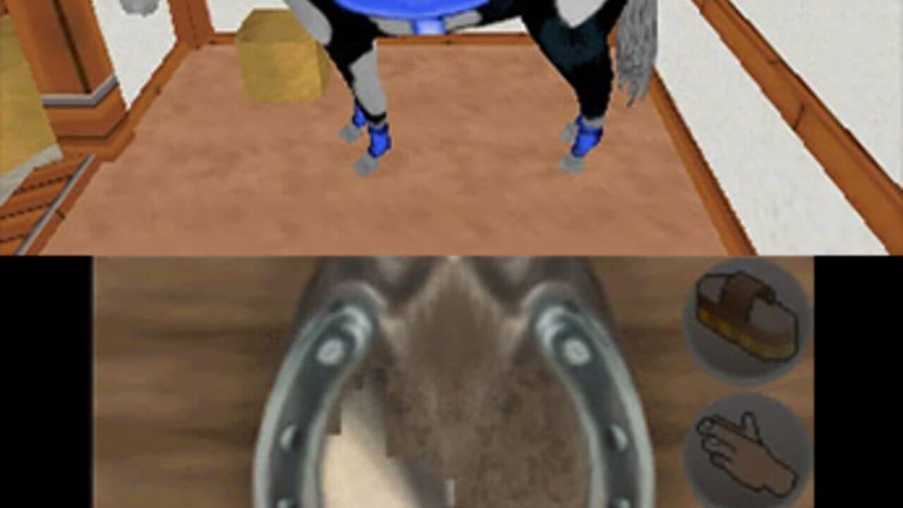 Riding Star 3D: Champion in Sattle thumbnail 3