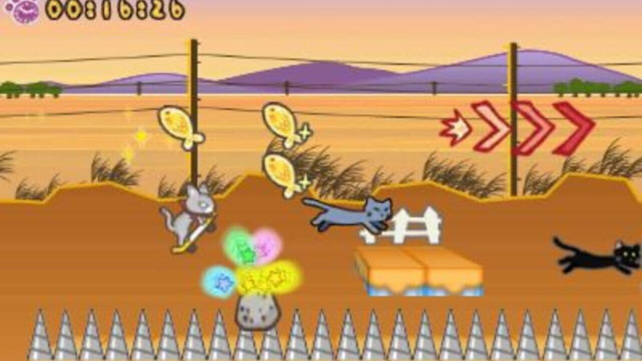 Skater Cat thumbnail 5