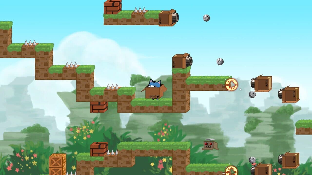 Box Cat thumbnail 4