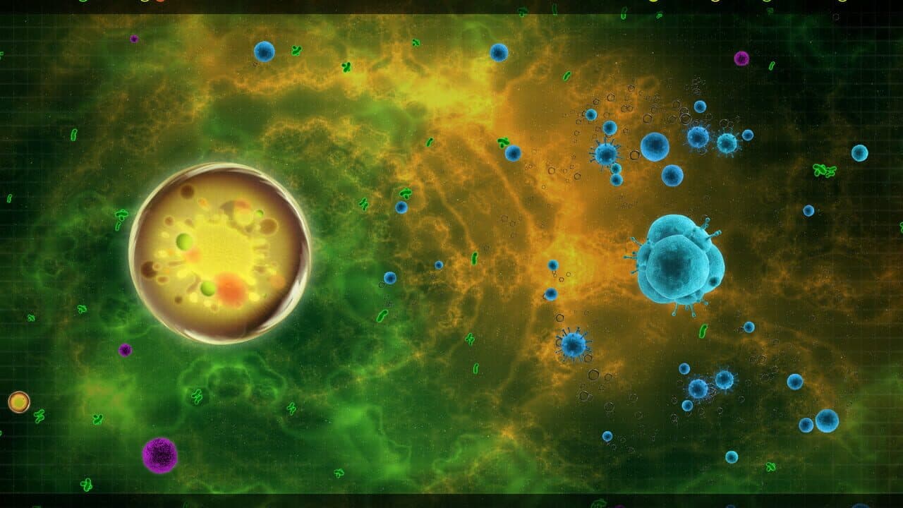 Soup thumbnail 2