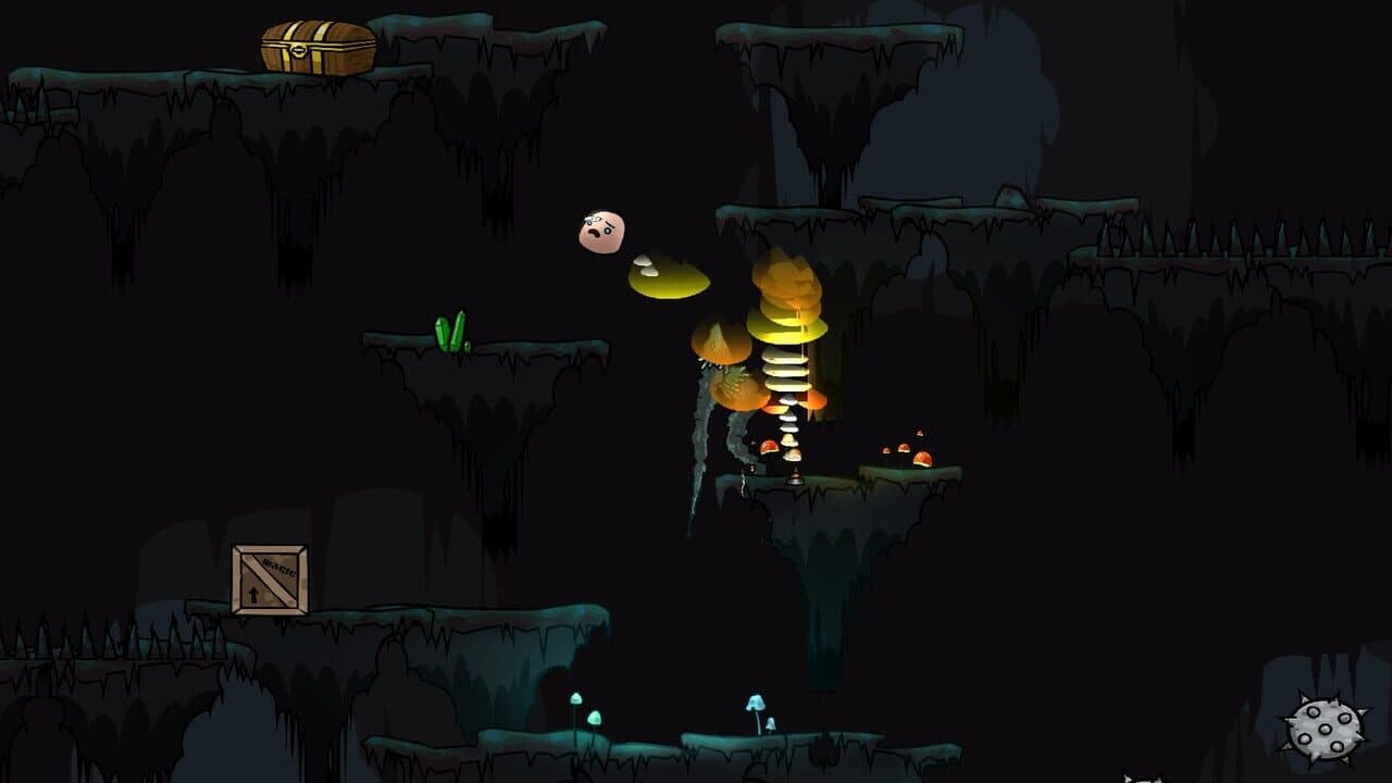Amygdala thumbnail 5