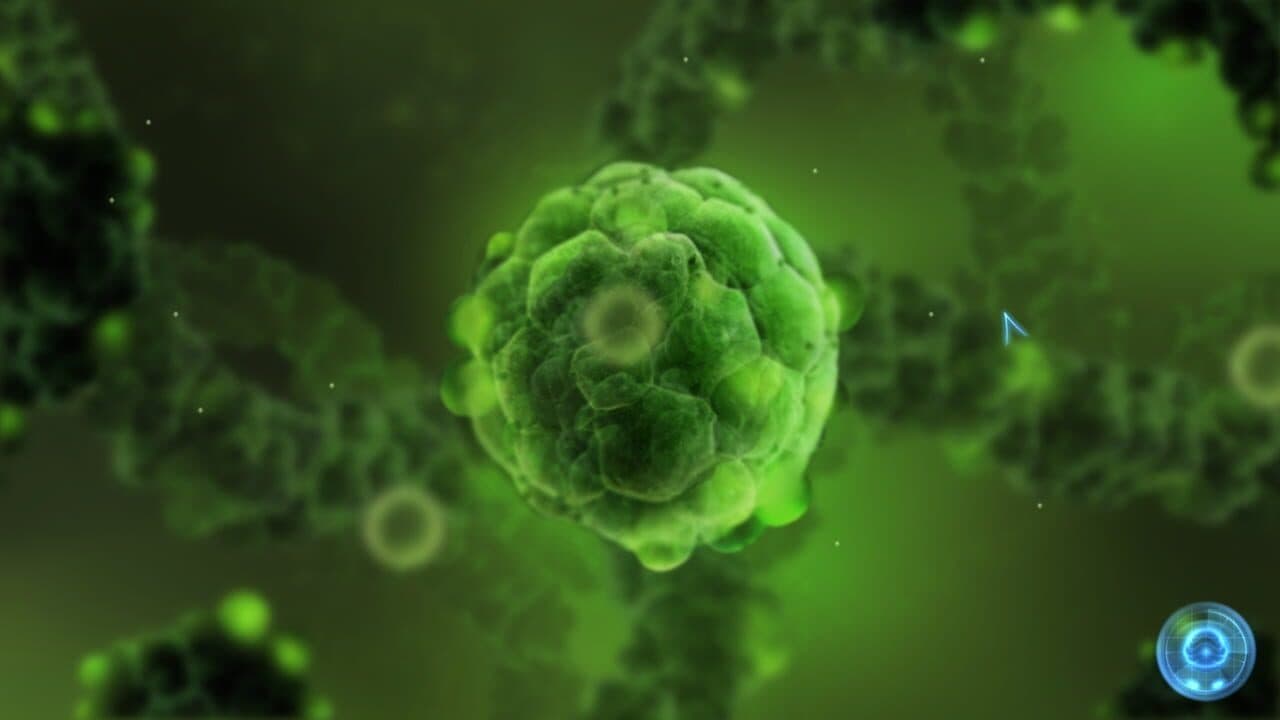 Inside Me thumbnail 5
