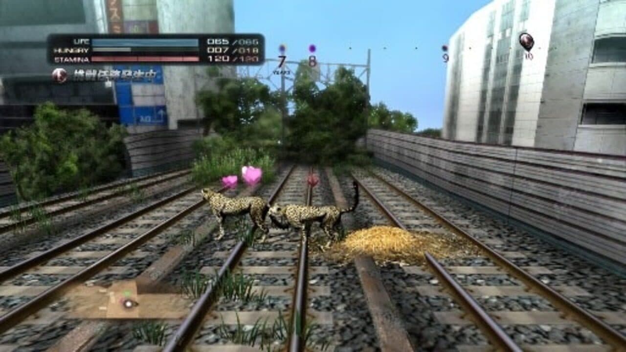 Tokyo Jungle thumbnail 3