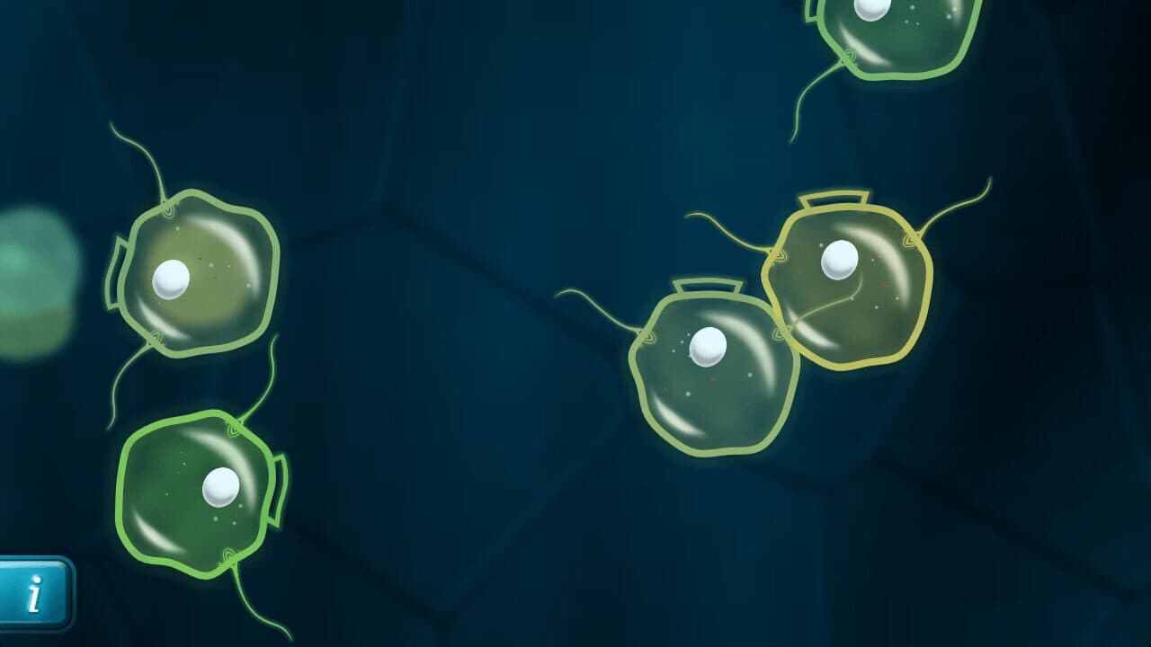 Mitosis thumbnail 5