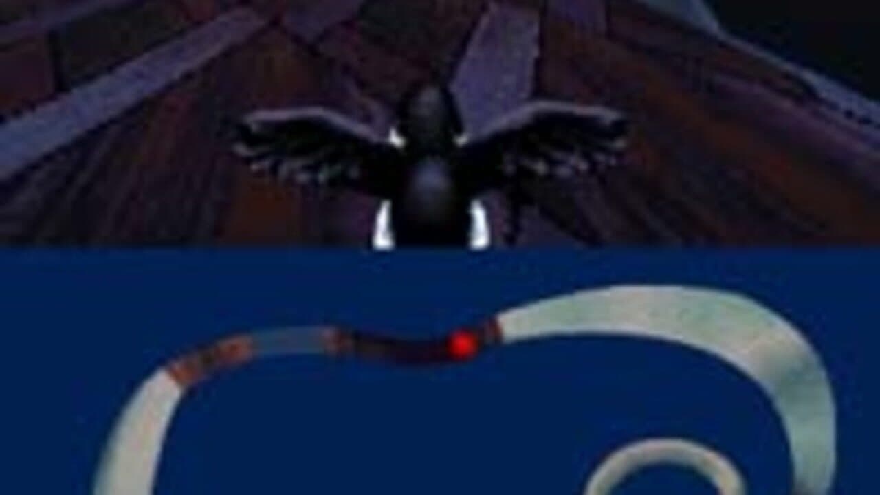 Puffins: Let's Race! thumbnail 4