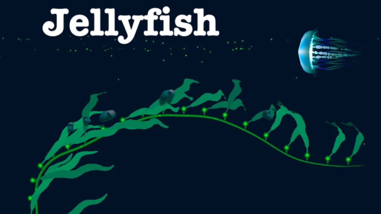 Jellyfish thumbnail 4