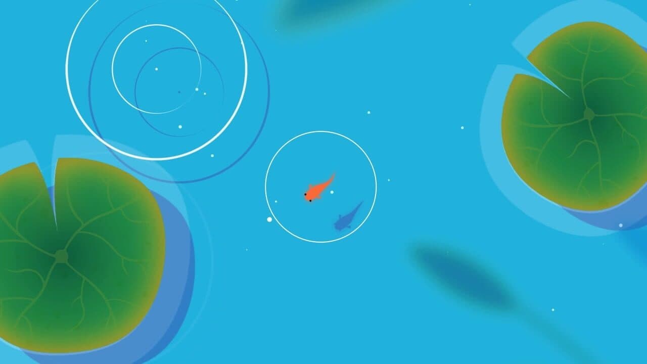 Koi thumbnail 2